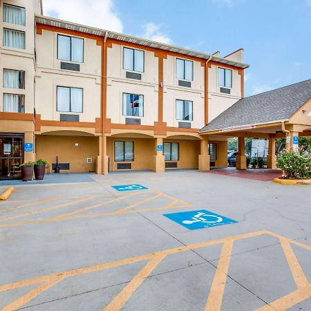 Comfort Inn & Suites Love Field-Dallas Market Center Exterior foto